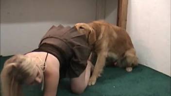 Slim mischievous blond woman performs oral on a canine and her spouse in homemade animal sex video
