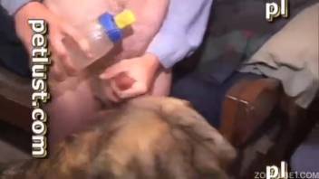 Incredible man thrusts into his beautiful partner from behind as he enjoys it.