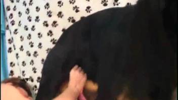 Attractive ebony hound roughly pounds a voluptuous animal-obsessed tramp