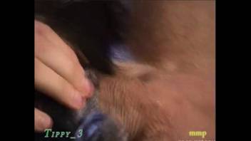 Arrogant guy roughly penetrates his canine deeply