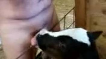 Intense oral sex sequence featuring a sexy bestiality enthusiast