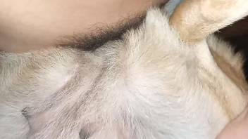Guy inserts his dick into a steamy beast's orifice on this site