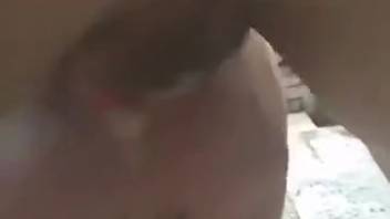 Aroused guy masturbates in filthy adult scat play sequences live on webcam