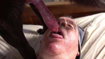 Aroused elderly guy captured on video eagerly performing oral on the canine's penis